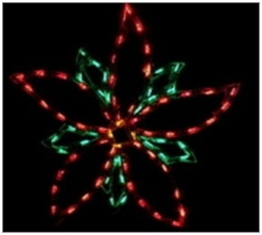 Small Poinsettia - Hanging