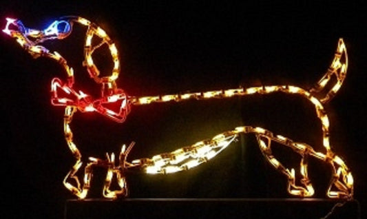 Dachshund with Bow Tie