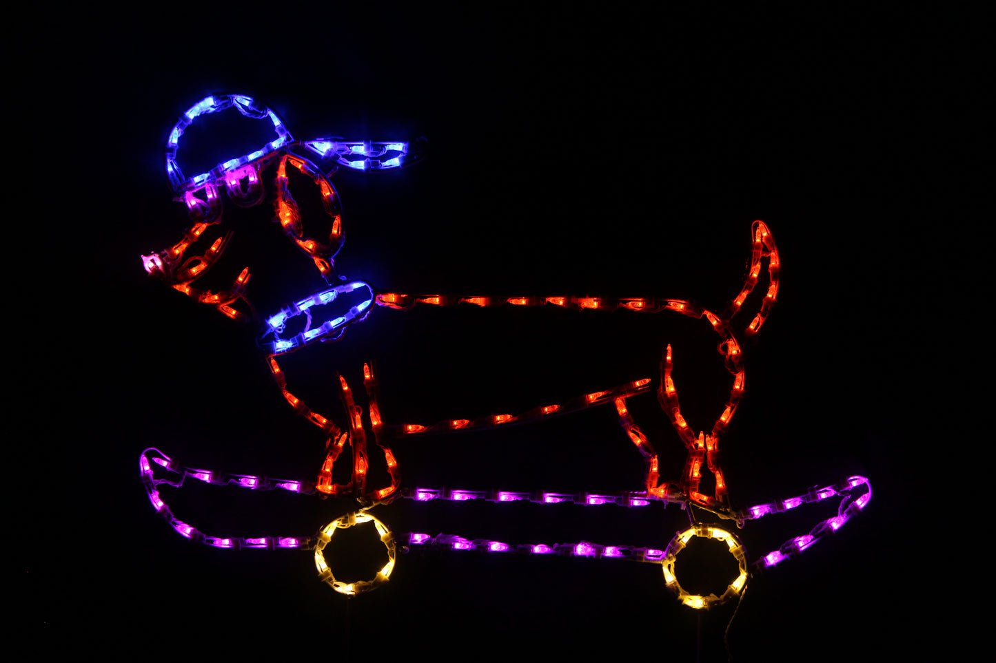 Cool Dog on Skateboard