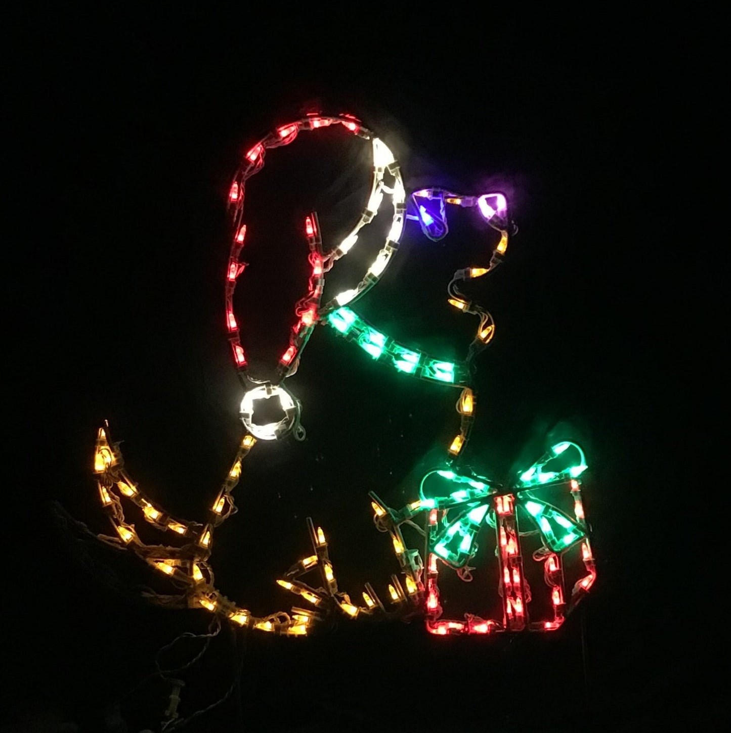 Animated Dog with Package