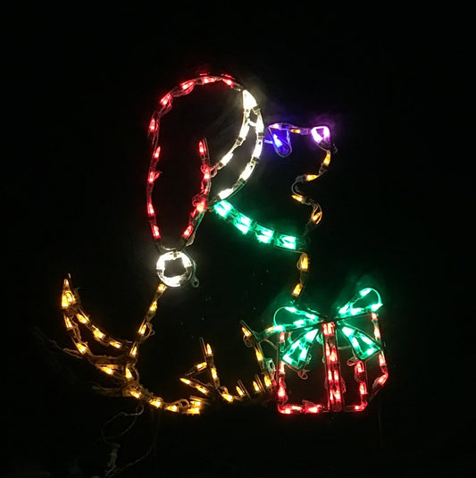 Animated Dog with Package