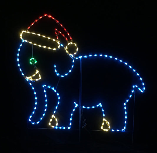 Elephant wearing Santa Claus Hat