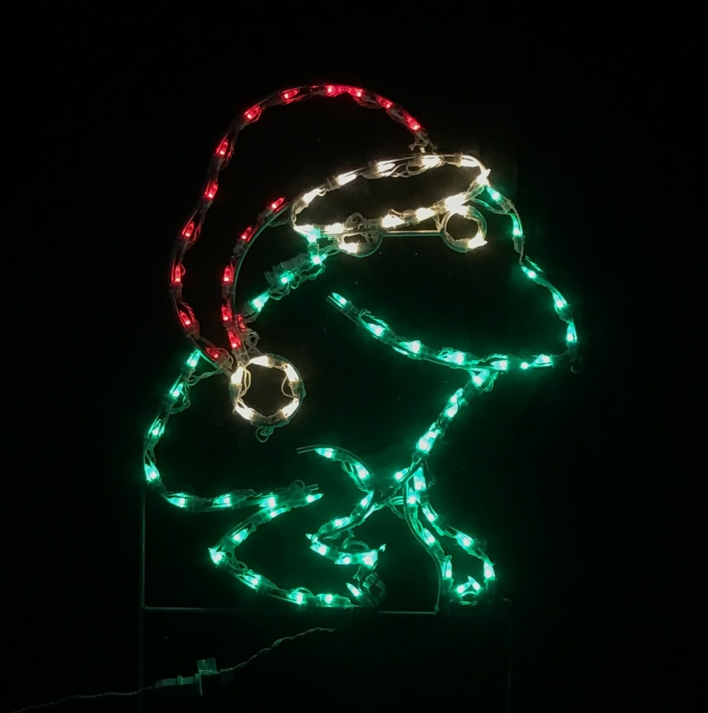 Frog with Santa Claus Hat