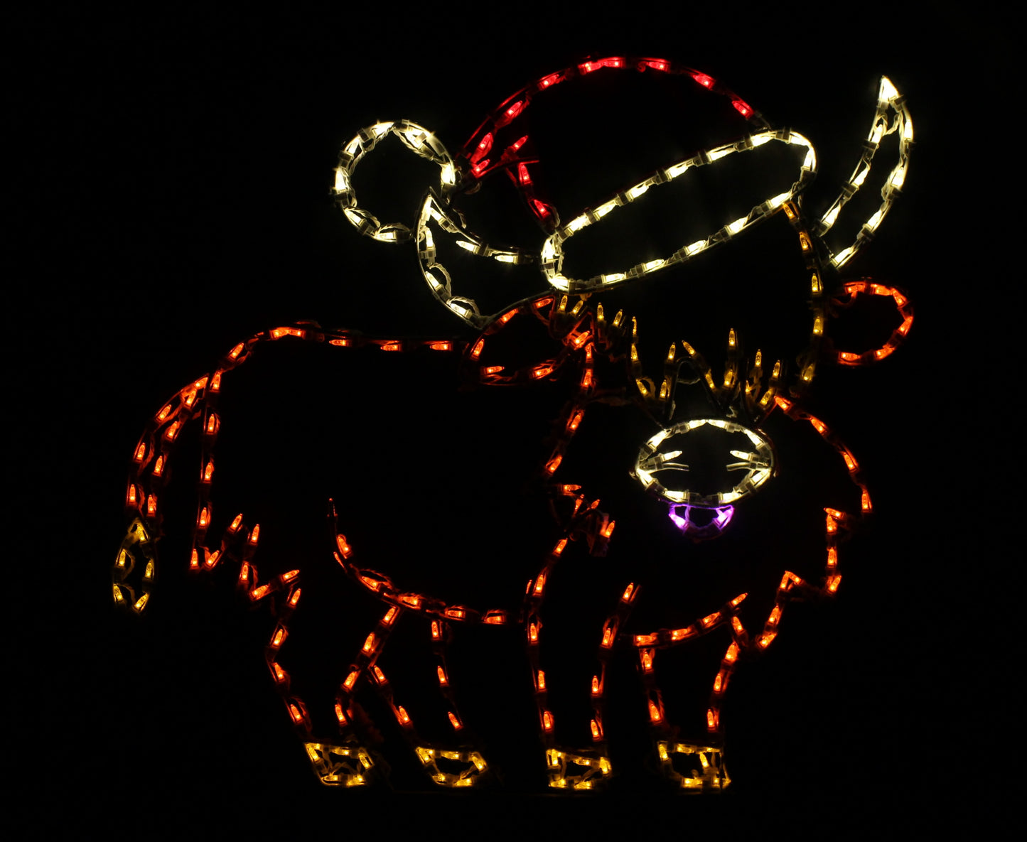Highland Cow with Santa Hat