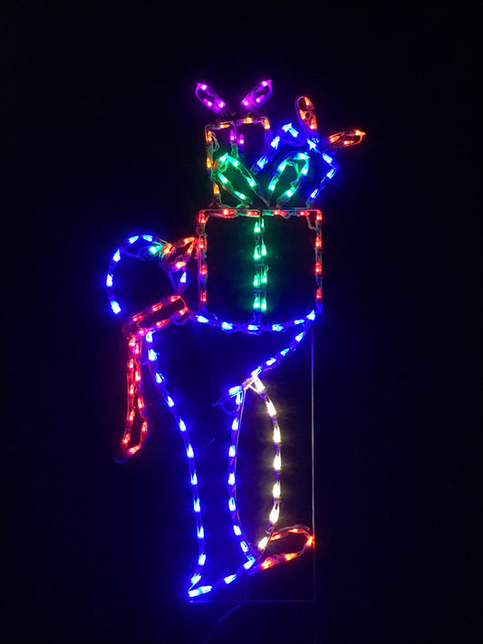 Penguin Carrying Packages