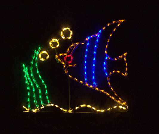 Angelfish with Bubbles