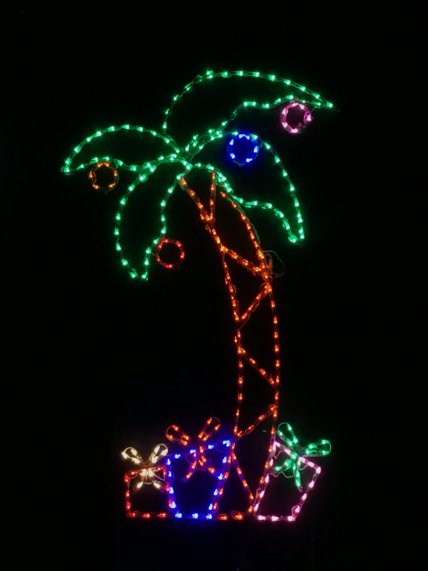 Palm Tree with Gifts