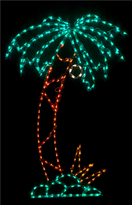 Palm Tree with Coconut