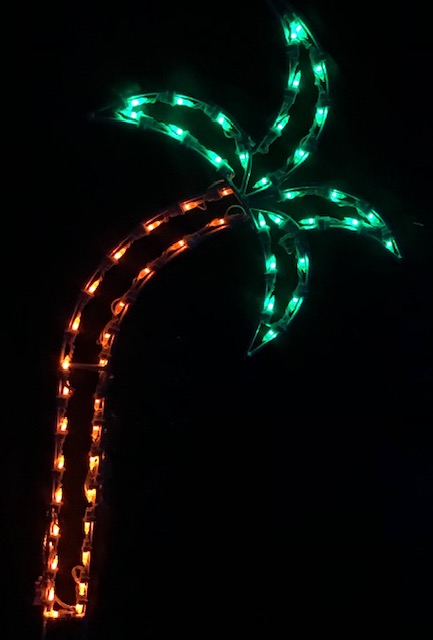 Simple Palm Tree