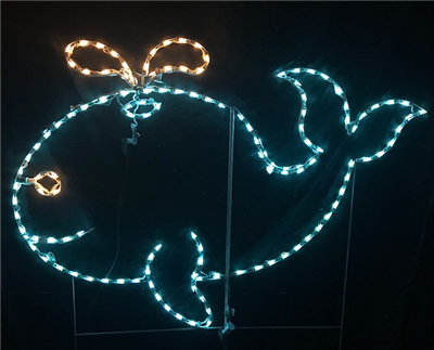 Whale with Animated Water