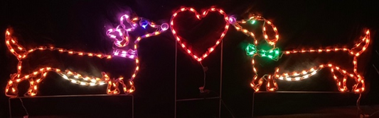 Mr. Dachshund and Mrs. Dachshund with Heart