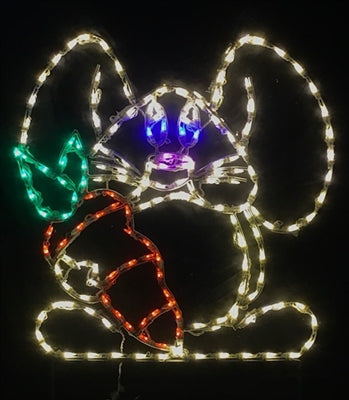 Floppy-Eared Bunny with Carrot