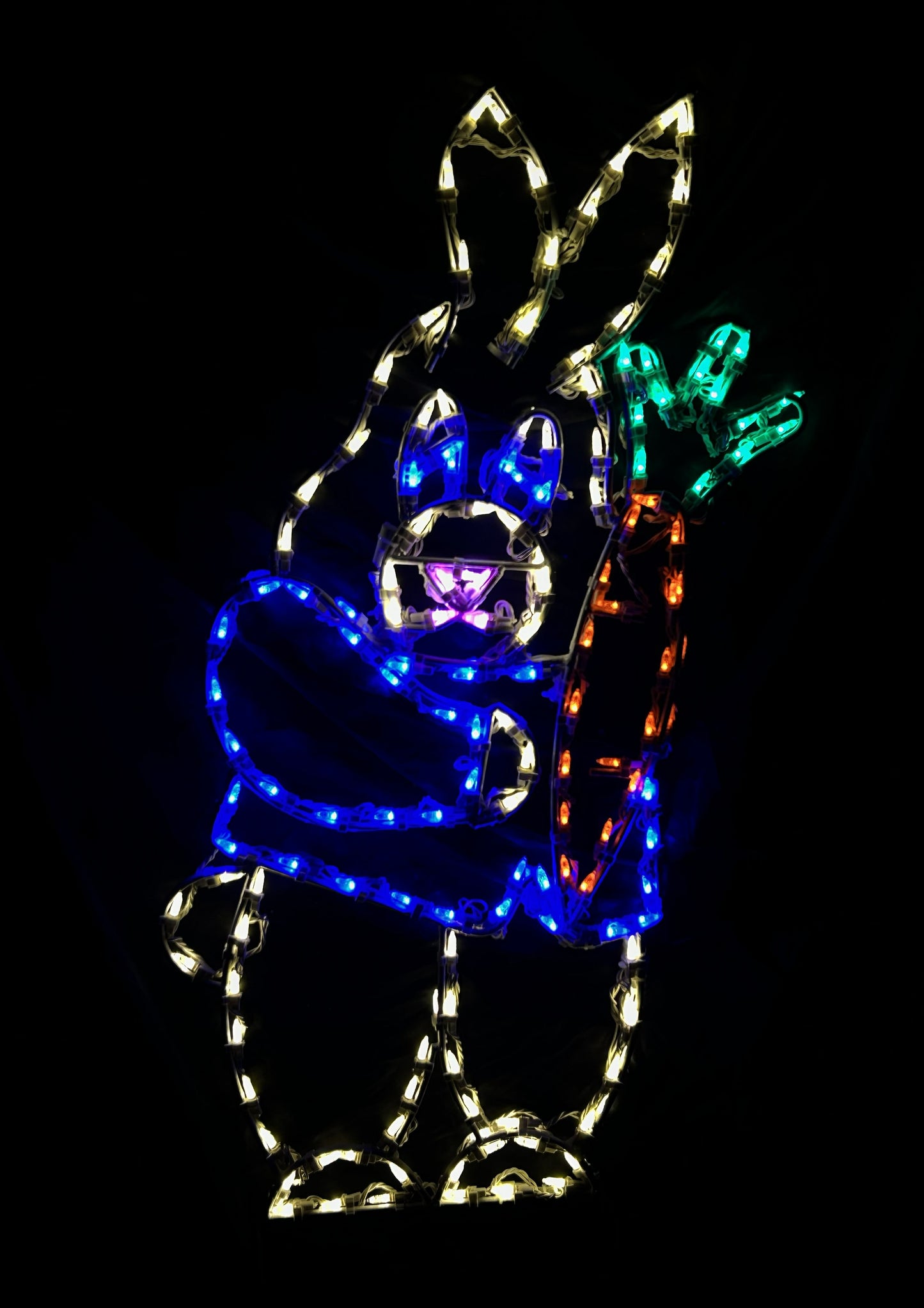 Curious Rabbit with Carrot