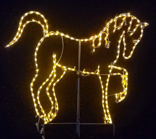 Fancy Horse
