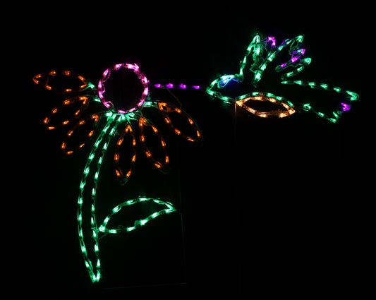 Hummingbird with Flower
