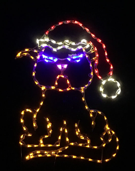 Moody Christmas Cat