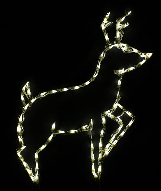Deer Medium