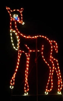 Doe