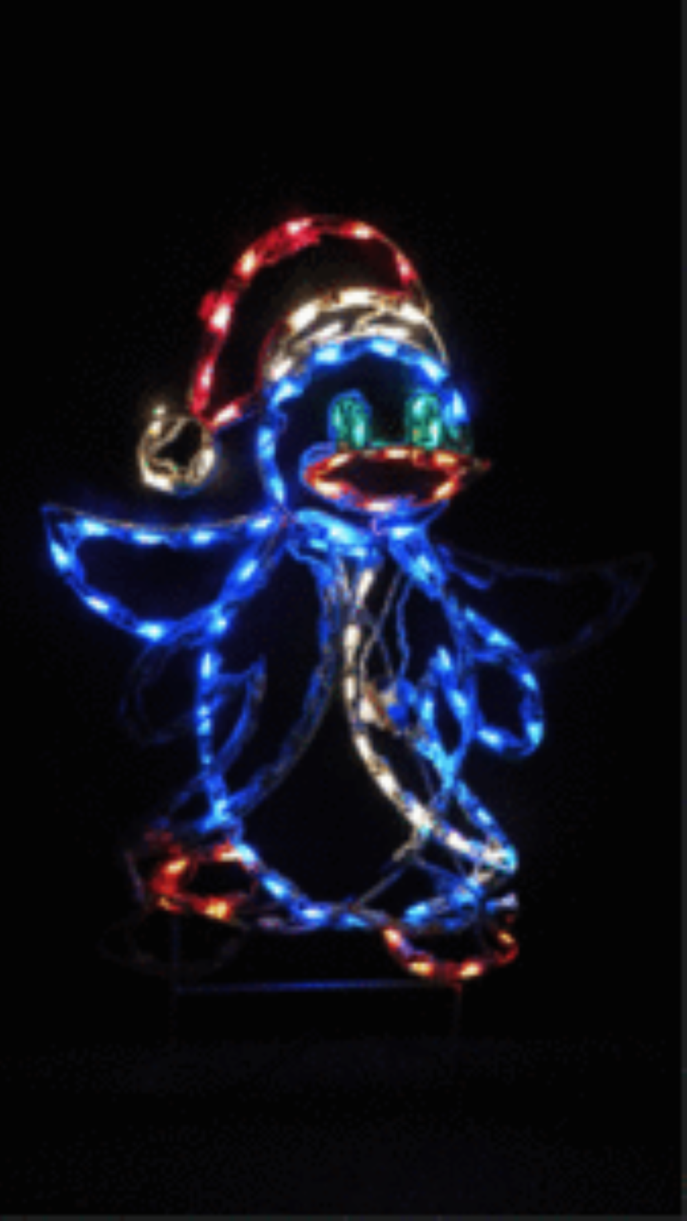 Dancing Penguin Animated