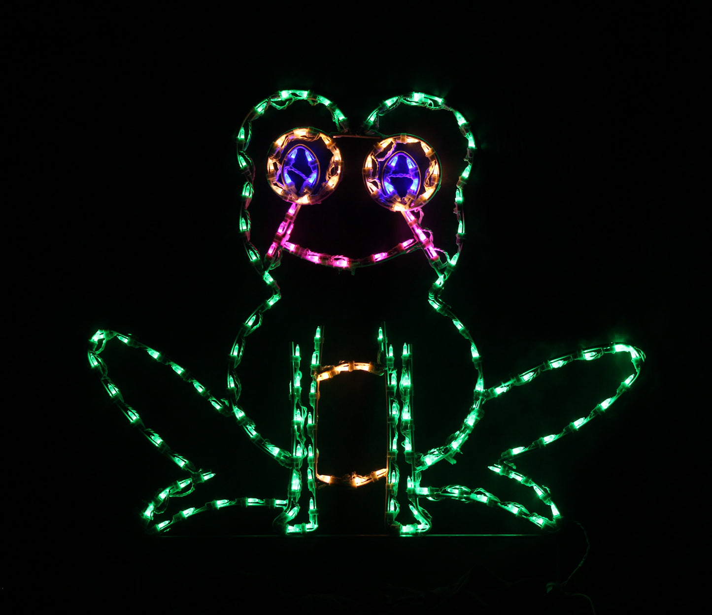 Sitting Frog
