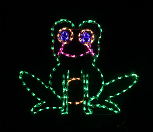 Sitting Frog