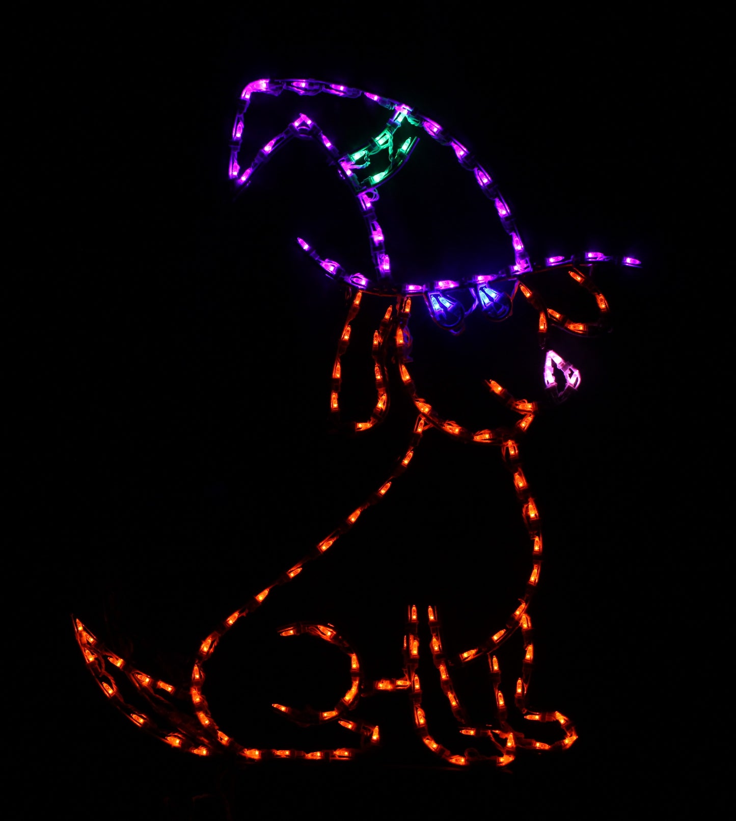 Animated Dog with Witch Hat