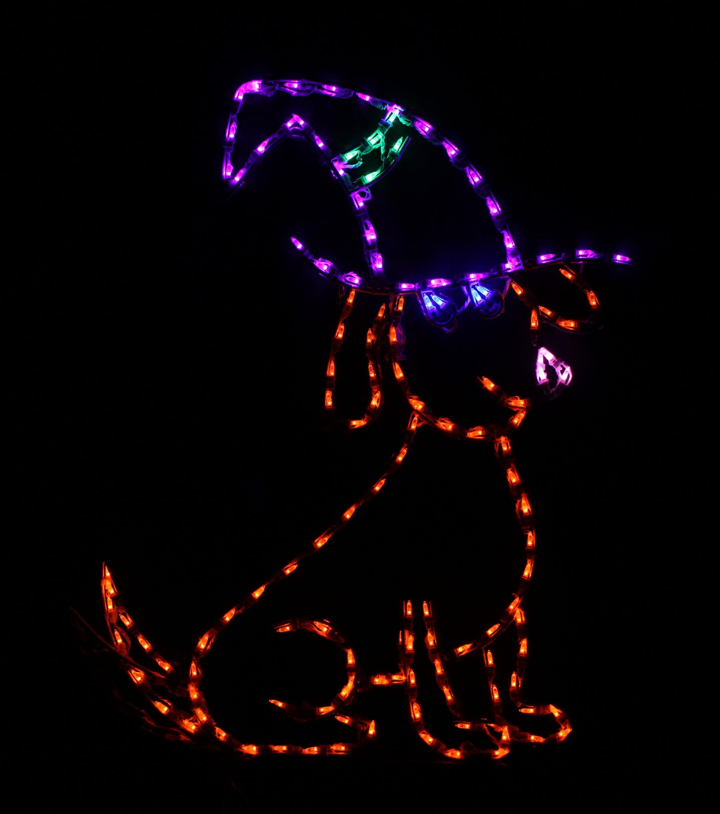 Animated Dog with Witch Hat
