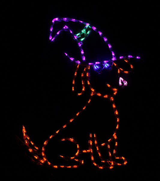 Animated Dog with Witch Hat