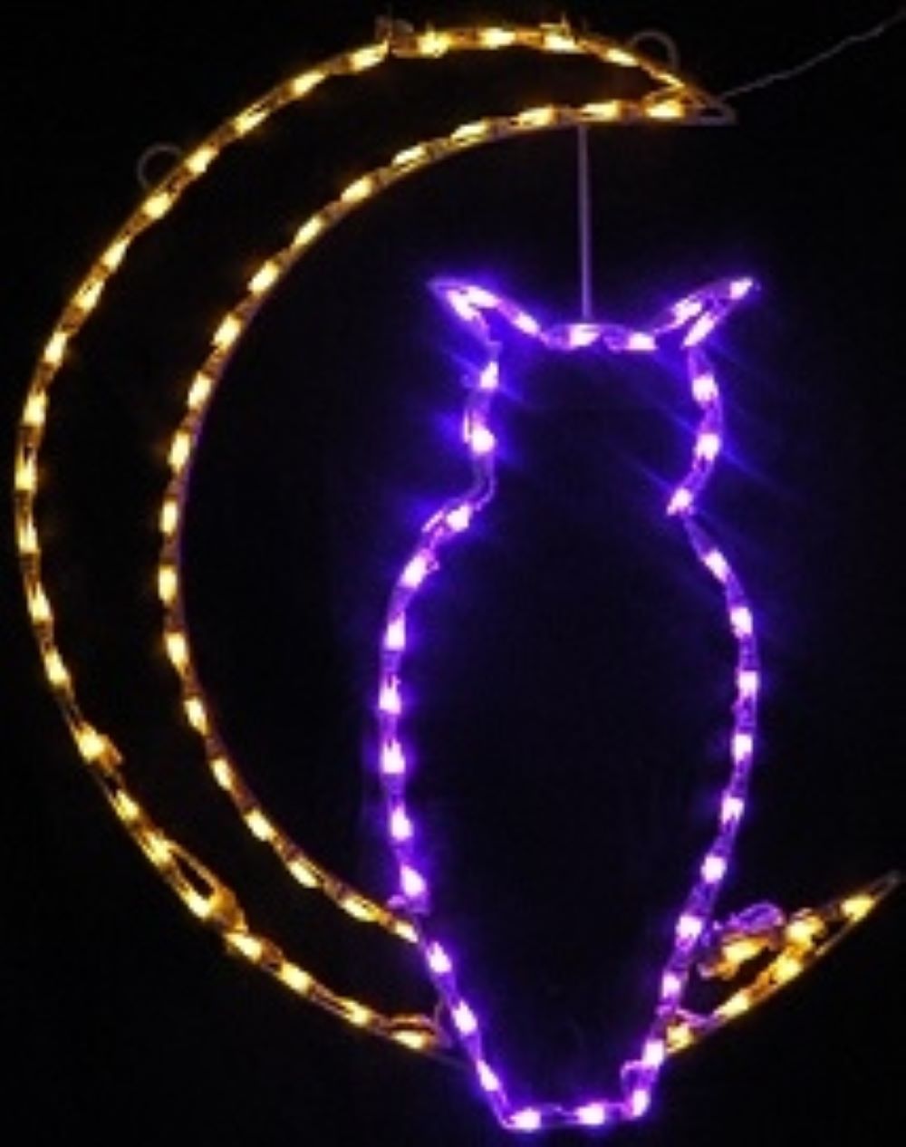 Halloween Owl and Moon