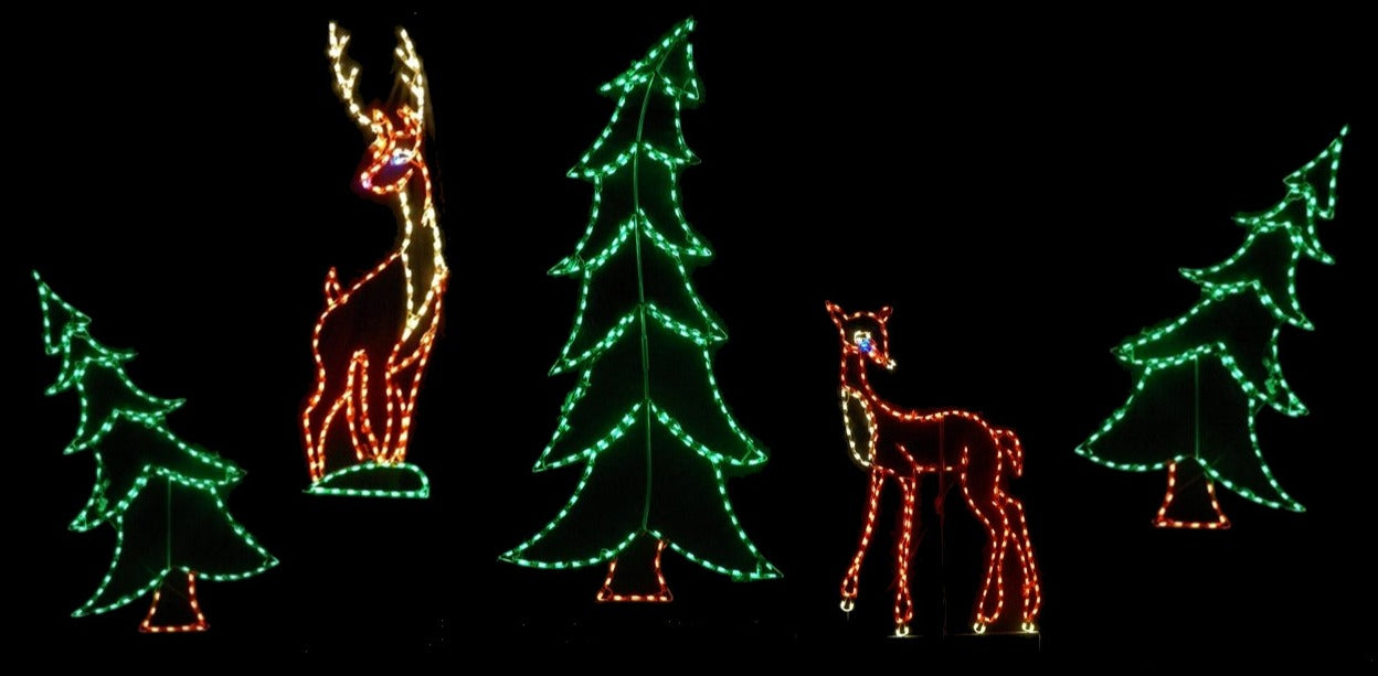 Deer in Woods