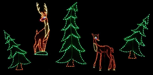 Deer in Woods